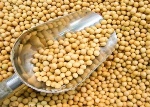 寧波進(jìn)口食品排行榜揭曉 水產(chǎn)品榮登榜首，吃貨最愛一覽