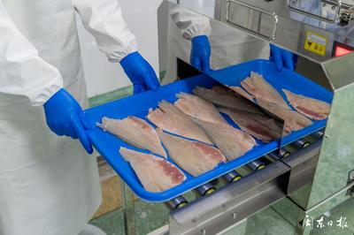 開辟“預(yù)制菜”新賽道，大黃魚游向水產(chǎn)品市場藍(lán)海